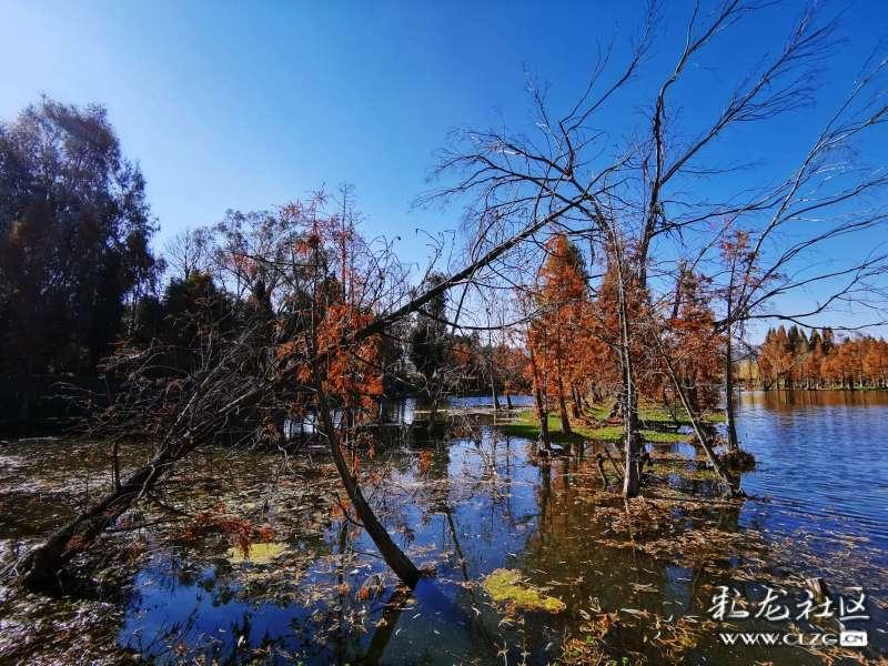 06年河南曹操墓现世,墓中到底有多少宝贝?曹操的形象或被颠覆?